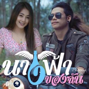 ดาวน์โหลดและฟังเพลง นางฟ้าของฉัน พร้อมเนื้อเพลงจาก วงฟีนิกซ์