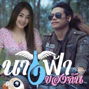 อัลบัม นางฟ้าของฉัน - Single ศิลปิน วงฟีนิกซ์