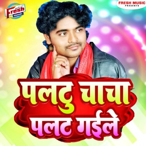 Listen to Paltu Chacha Palat Gaile song with lyrics from Brijesh Halchal