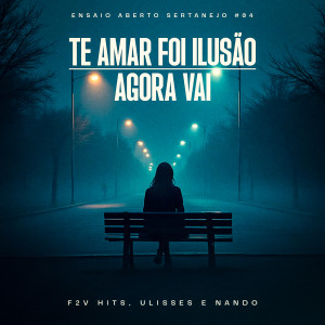 Album Te Amar Foi Ilusão / Agora Vai (Ensaio Aberto Sertanejo #04) from 