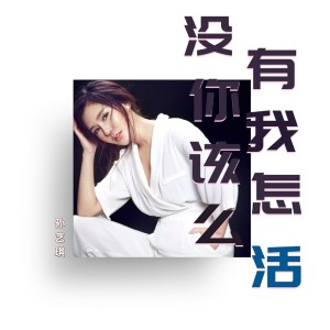 孫藝琪的專輯沒有你我該怎麼活