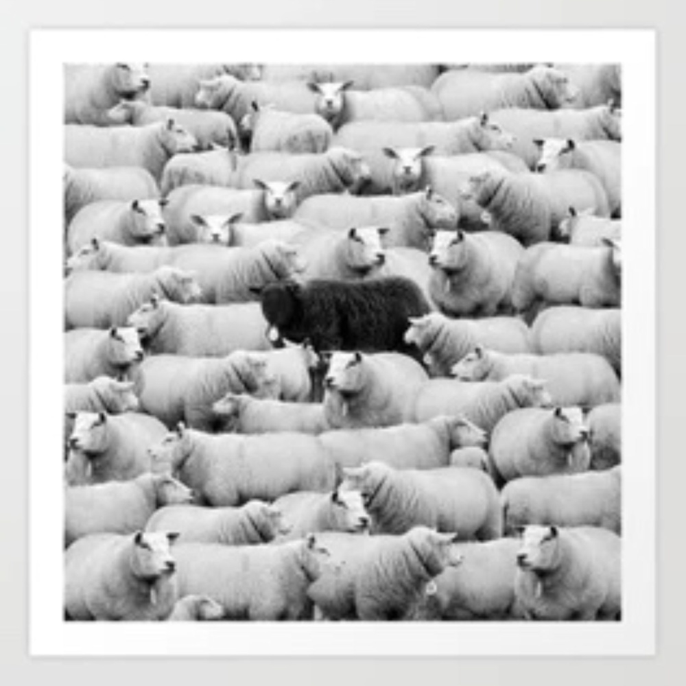 Black Sheep (Explicit)