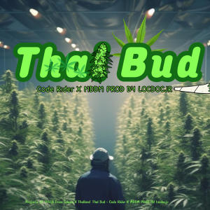 Thai Bud (feat. MDDM) (Explicit)