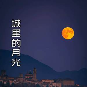 Album 城里的月光 (中秋版) from 余不不