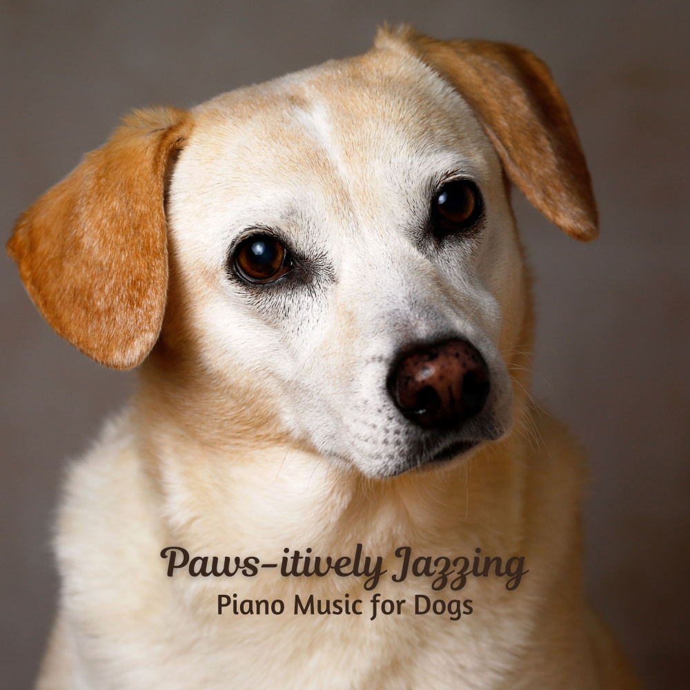 Ruff Rhythms