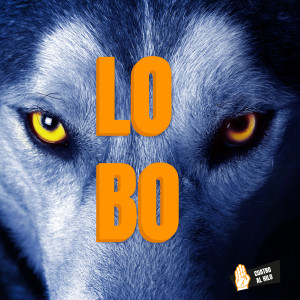 Dengarkan lagu Lobo nyanyian Cuatro Al Hilo dengan lirik