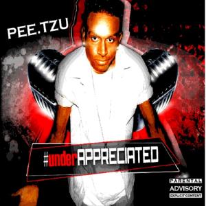 ดาวน์โหลดและฟังเพลง Salli Richardson Music (feat. Earl Grimez) (Explicit) พร้อมเนื้อเพลงจาก Pee.Tzu