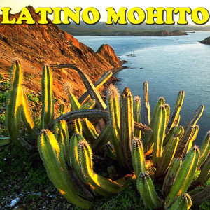 Listen to Drum (Track Three) song with lyrics from Palito