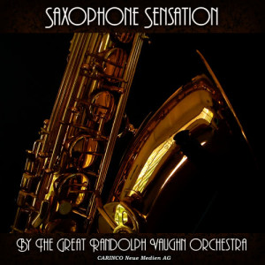 ดาวน์โหลดและฟังเพลง Love Is In The Air พร้อมเนื้อเพลงจาก The Great Randolph Vaughn Orchestra