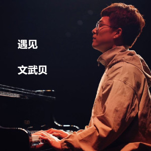 Listen to 遇见 (钢琴版) song with lyrics from 文武贝