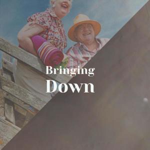 Album Bringing Down from Various