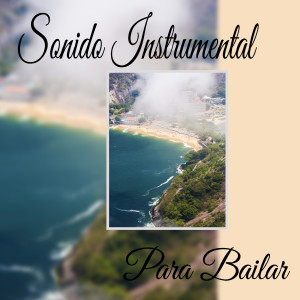 Musica Para Bailar的专辑Sonido Instrumental para Bailar