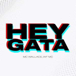 Album Hey Gata from Mc Wallace