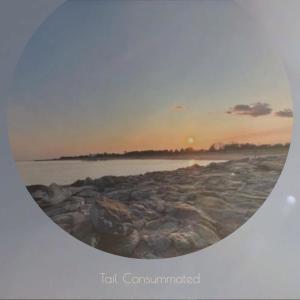 收聽Beey Laides的Tail Consummated歌詞歌曲