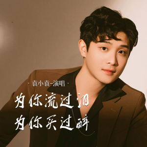 Listen to 为你流过泪为你买过醉 song with lyrics from 袁小袁