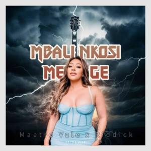 JEI DE VIBE的專輯MBALI NKOSI MESSAGE (feat. Maestro Vale & RIddick)