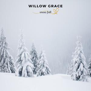 Willow Grace的專輯Snow Fall