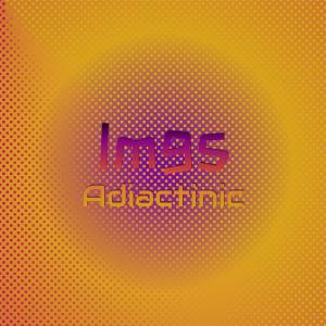 Listen to Nonindulgent Malaguena song with lyrics from Beey Codie