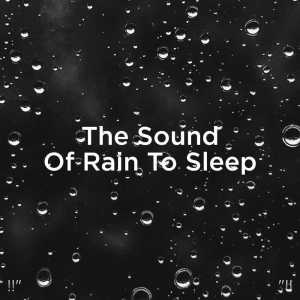 收听Rain Sounds的Rain For Study & Concentration歌词歌曲