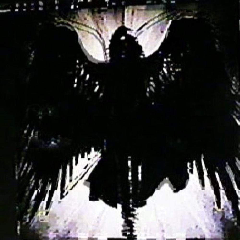 acouplelightsaway (Explicit)