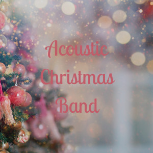 Christmas Instrumental Music的專輯Acoustic Christmas Band