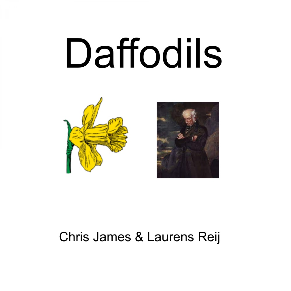 Daffodils