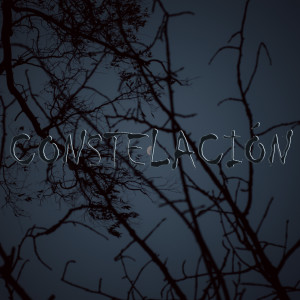 Album Constelación from Juani