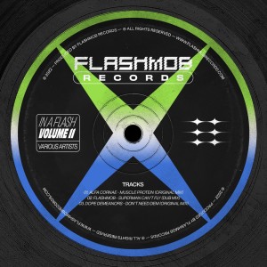 อัลบัม In a Flash, Vol. 11 ศิลปิน Flashmob