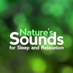 ดาวน์โหลดและฟังเพลง Waters Run พร้อมเนื้อเพลงจาก Nature Sounds for Sleep and Relaxation