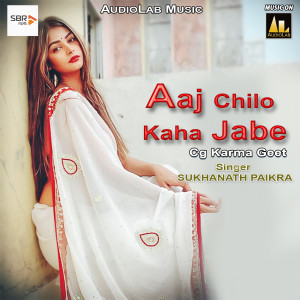 Listen to Aho Jogi Sab Kara song with lyrics from BHAGWANDAS DEWANGAN