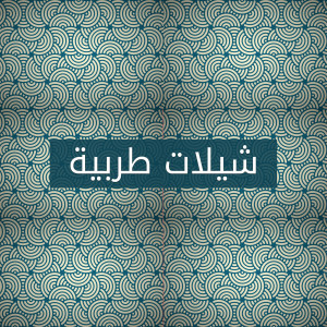 收聽Various Artists的Serha Ya Hajezy歌詞歌曲