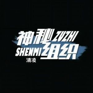 Listen to 神秘组织战歌 (完整版) song with lyrics from 清凌