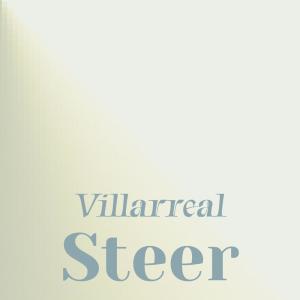 Various Artists的专辑Villarreal Steer