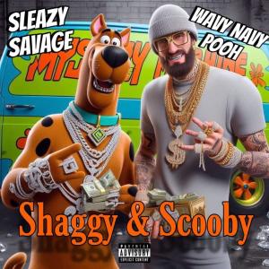 Wavy Navy Pooh的專輯Shaggy & Skooby (feat. Wavy Navy Pooh) [Explicit]