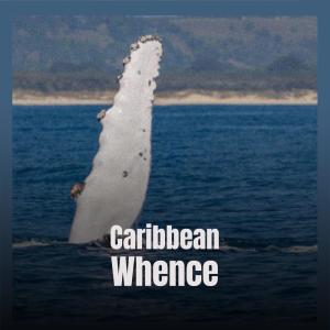 Listen to Awareness song with lyrics from Miet Pasy