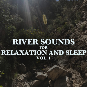 收聽Mother Nature Soundscapes的Fall Asleep Like This歌詞歌曲