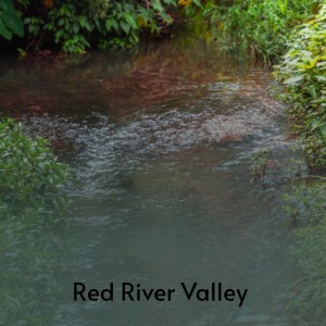 Listen to Red River Valley song with lyrics from Eddy Arnold