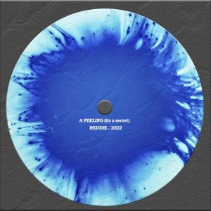 ดาวน์โหลดและฟังเพลง A feeling (it's a secret) พร้อมเนื้อเพลงจาก Reddie