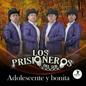 ดาวน์โหลดและฟังเพลง Adolecescente y Bonita พร้อมเนื้อเพลงจาก Los prisioneros del sur