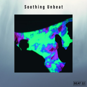 อัลบัม Soothing Unbeat Beat 22 ศิลปิน Various Artists