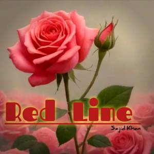 收聽Sajid Khan的Red line歌詞歌曲
