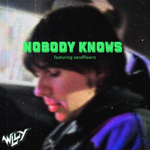 收聽WLLY的Nobody Knows (feat. sendflowrs) (Explicit)歌詞歌曲