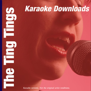收聽Ameritz的That’s Not My Name (In The Style Of The Ting Tings) (伴奏)歌詞歌曲