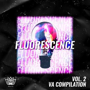 Fluorescence dari Various Artists