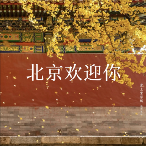 Dengarkan lagu 北京欢迎你 (cover: 念念又不忘) (完整版) nyanyian 白允y dengan lirik