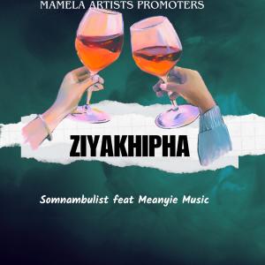 Somnambulist的專輯Ziyakhipha (feat. Meanyie Music)