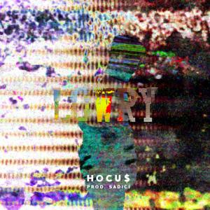 Album Lowry (Explicit) from Hocu$