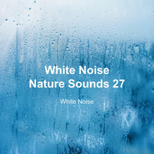 White Noise 27 (Rain Sounds, Bonfire Sound, Baby Sleep, Deep Sleep)