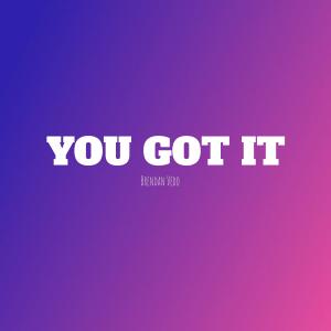Dengarkan You Got It lagu dari Brendan Vedo dengan lirik