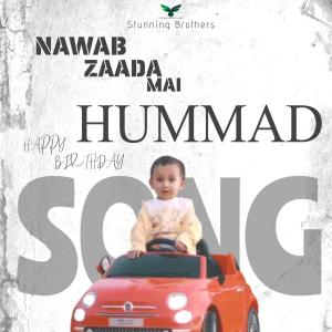 Album Nawab Zaada Mai ( Hummad ) oleh Stunning Brothers